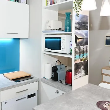 Apartament Appart'guerin *
